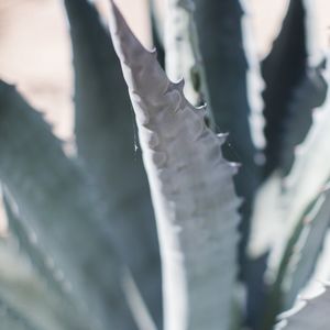 Meet your Posher, Vic